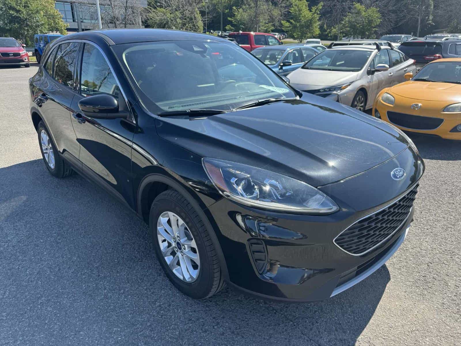 2020 Ford ESCAPE SE SE - Image 5