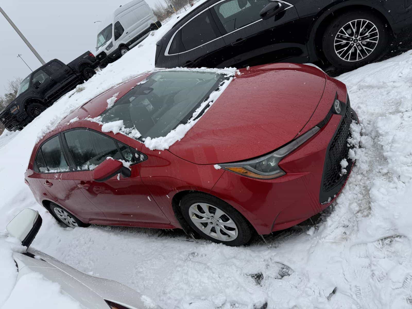 Image 2 Toyota Corolla LE 2020