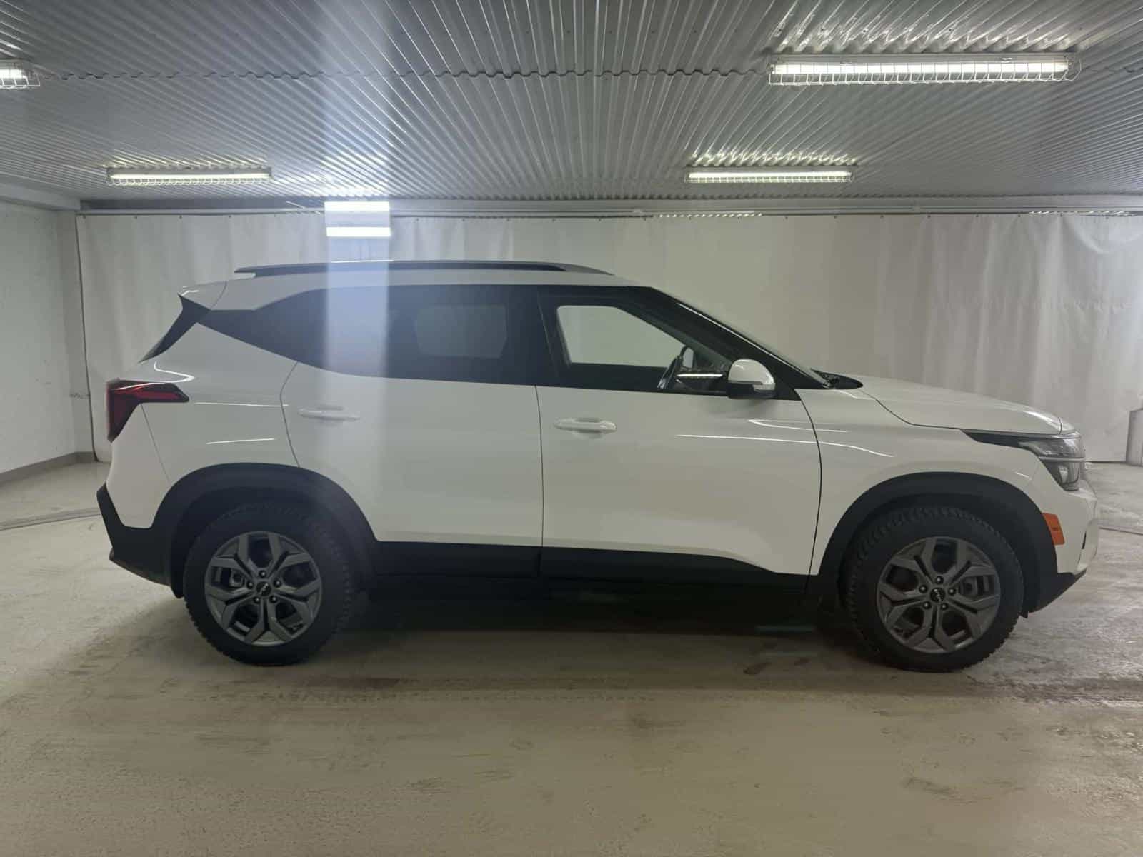 2024 Kia SELTOS LX LX - Image 6