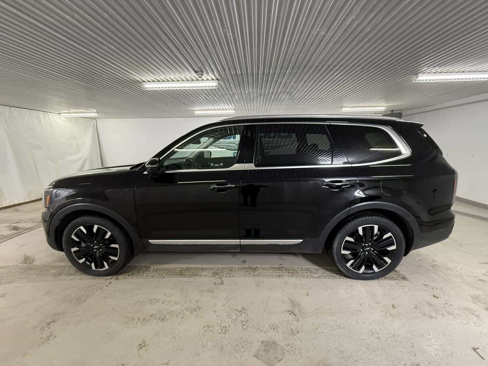 2024 Kia Telluride SX - Image 2